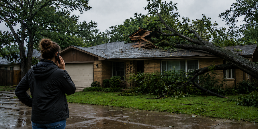 A Tree Fell on My House and Insurance Says It's Not Covered. What Do I Do?